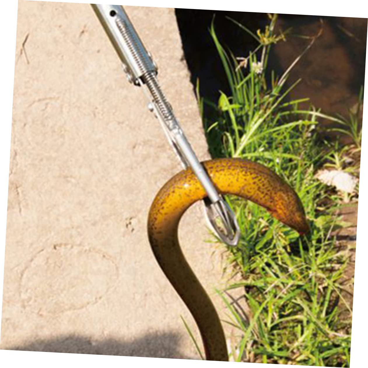 Pinze Design Forbice Antiscivolo in Acciaio Inossidabile per Granchi, Lombrichi e Rifiuti