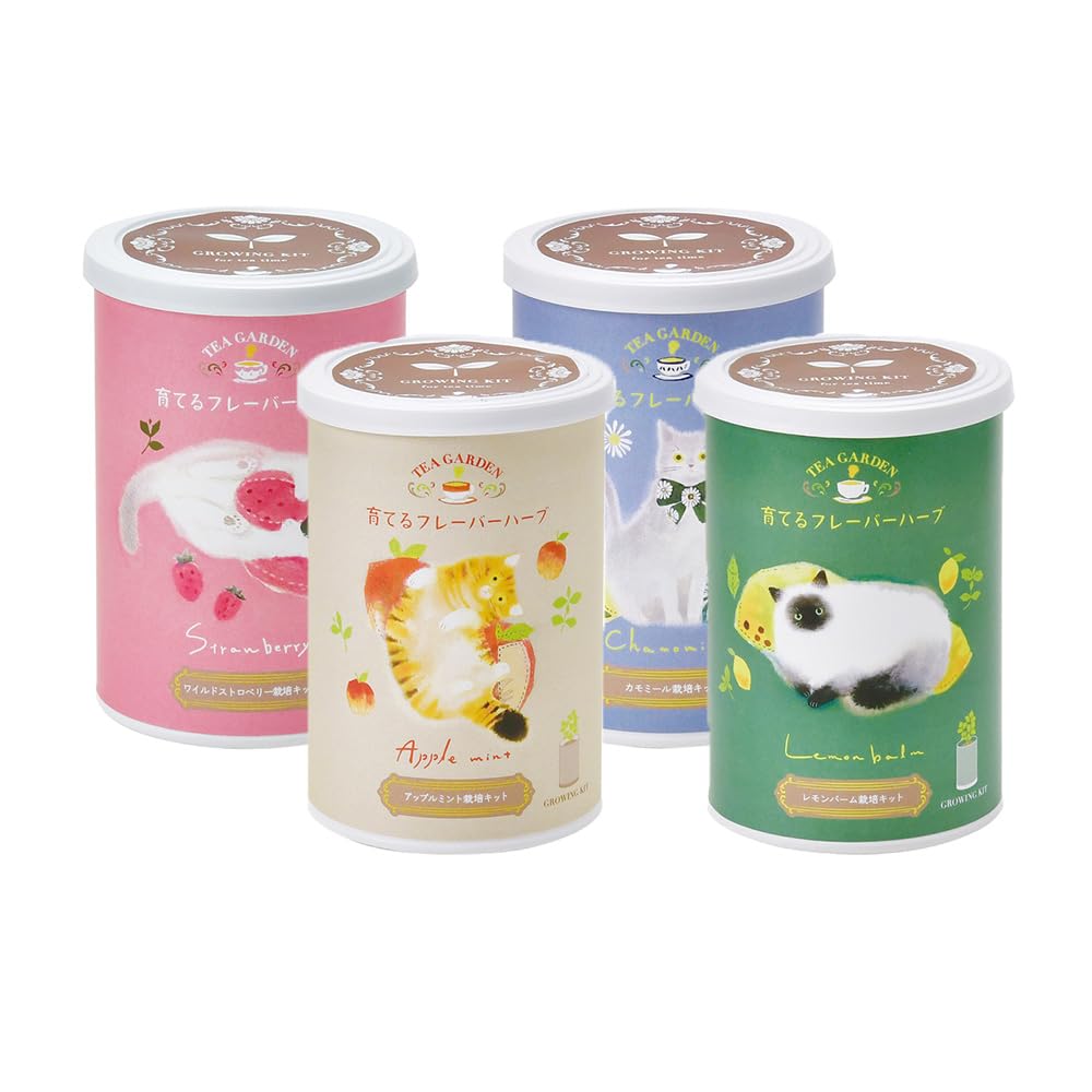 ＩＴＡＮＳＥ 栽培セット 育てるフレーバーハーブ