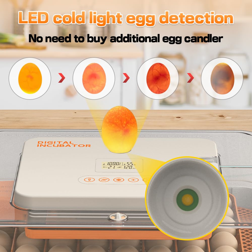56 Incubadora de huevos – Trituradora automática de aves de corral para huevos de pollo/pato/ganso con giro automático, control de temperatura y humedad, candelabro incorporado, máquina de