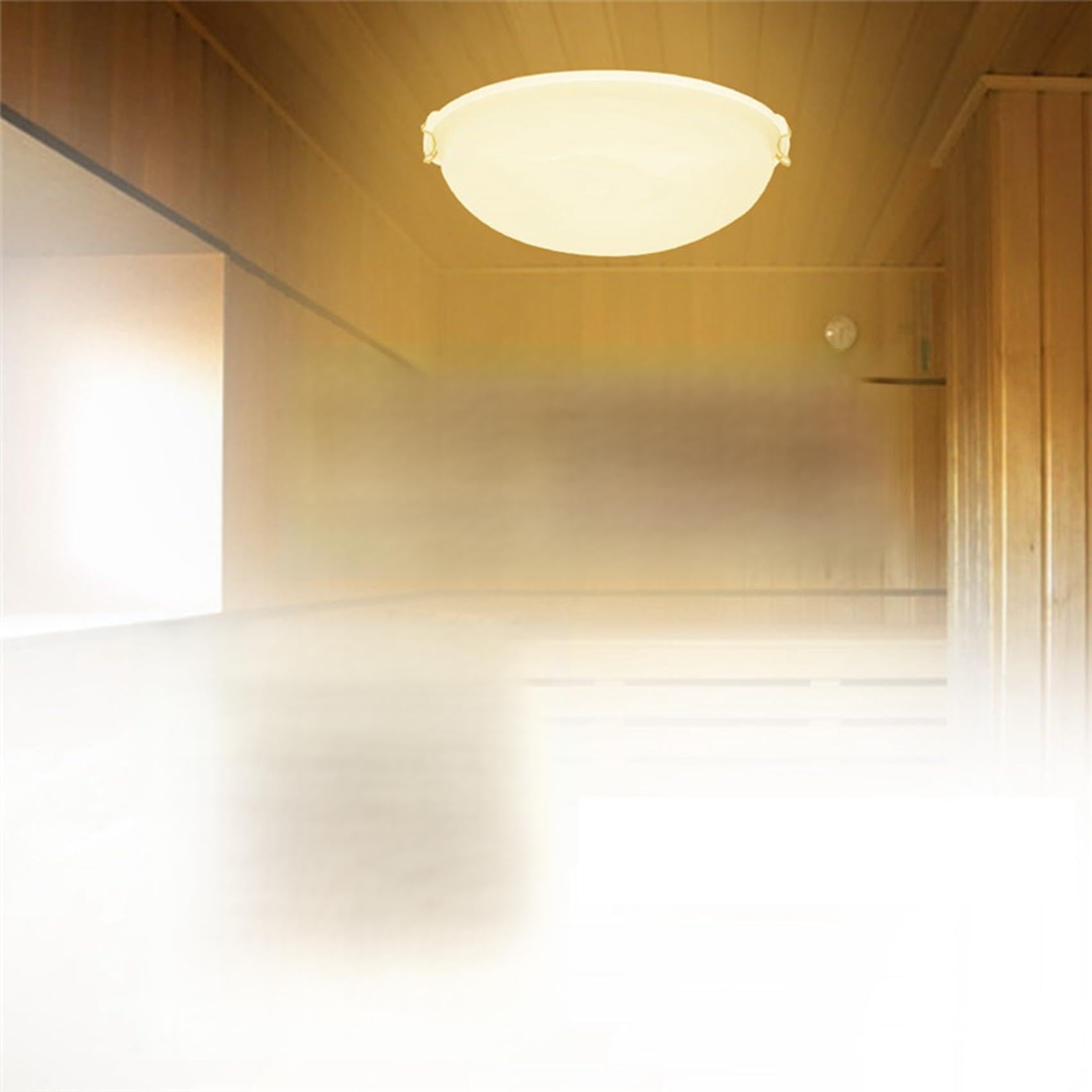 Hndhbfgrt 2X Portable Plastic Sauna Light Baby Shower Sauna Explosion-Proof Light Lamp Steam Room Anti-Fog Light for Bathroom Use