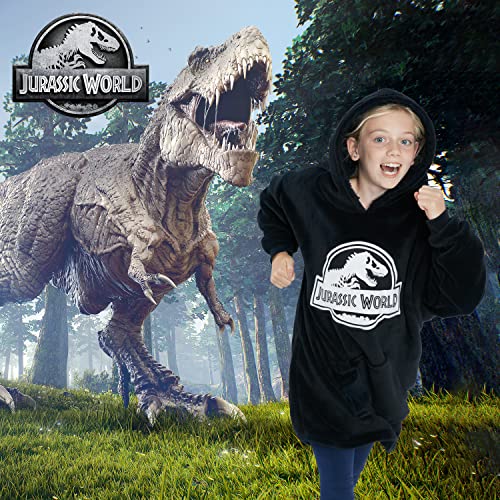 Pull dinosaure Jurassic World enfant le cadeau idéal