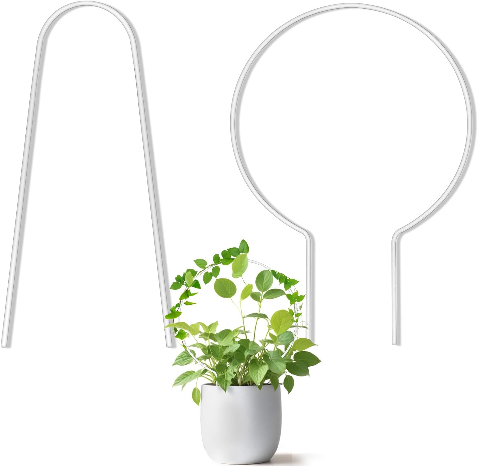 2pcs Hoya Trellis for Indoor Plants,Round Acrylic Trellis for Indoor Plants,U-Shape Hoya Trelli, for Flowers, Peas, Roses, Morning Glory, Vine Plant Accessories(Transparent)
