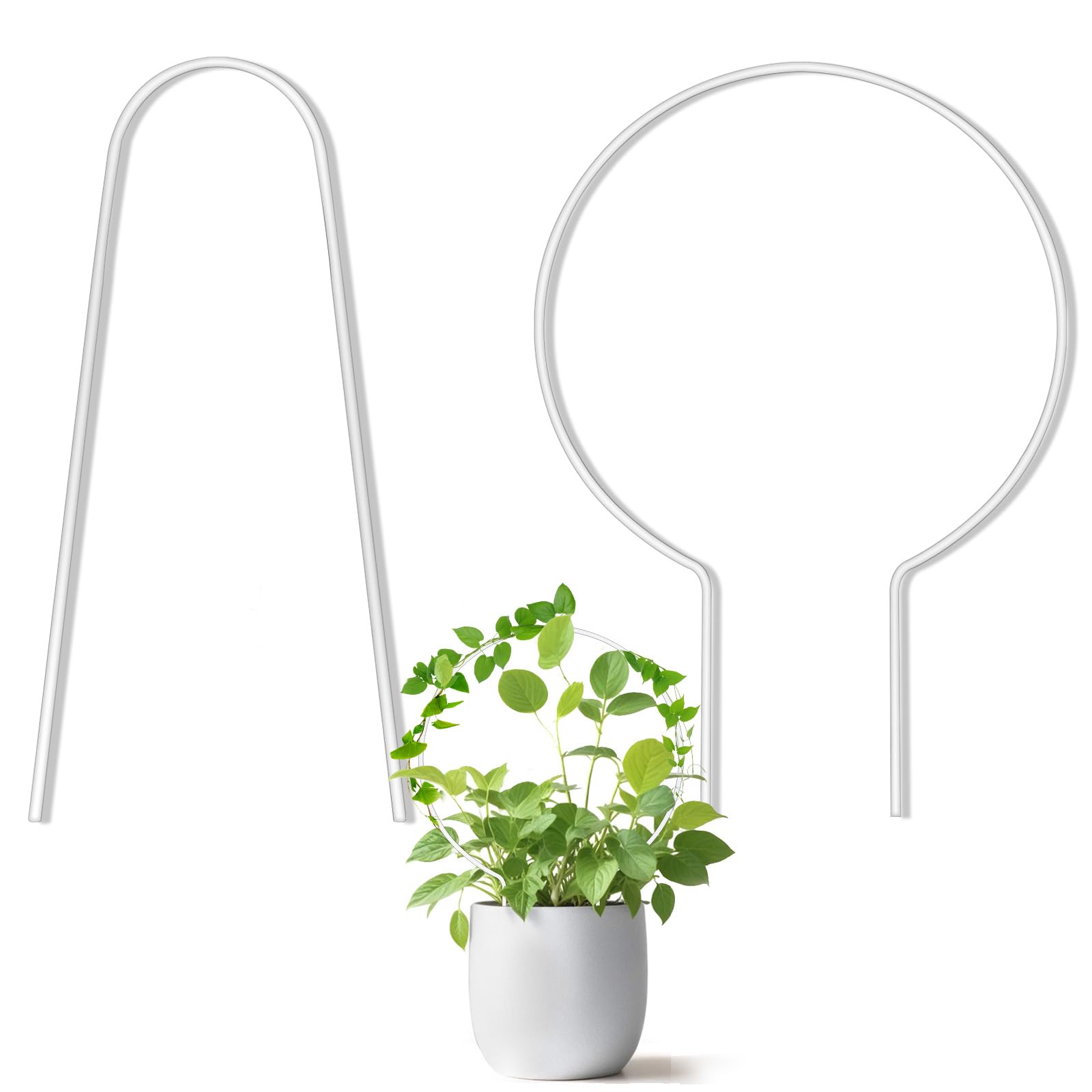 2pcs Acrylic Plant Trellis,Round Acrylic Trellis for Indoor Plants,U-Shape Hoya Trelli, for Flowers, Peas, Roses, Morning Glory, Vine Plant Accessories(Transparent)