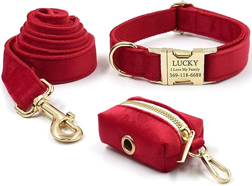 Miniatura 8 de PETDURO Collar de perro personalizado con nombre grabado con hebilla de metal de liberación rápida de oro rosa para perros grandes, medianos y