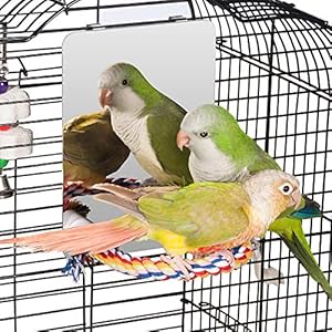Colorday Vogelspiegel mit Seil und Sitzstange