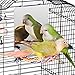 Colorday 7 inch Stainless Steel Bird Mirror with Rope Perch, Bird Toys Swing, Comfy Perch for African Grey Parakeet Cockatiel Conure Lovebird Finch Canaries