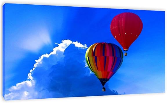 EYEZER Hot Air Balloon Poster Hot Air Balloon Decorations Hot Air Balloon Wall Decor Hot Air Balloon Painting for home decorBlue Sky 50x95cm20x37in Frameless