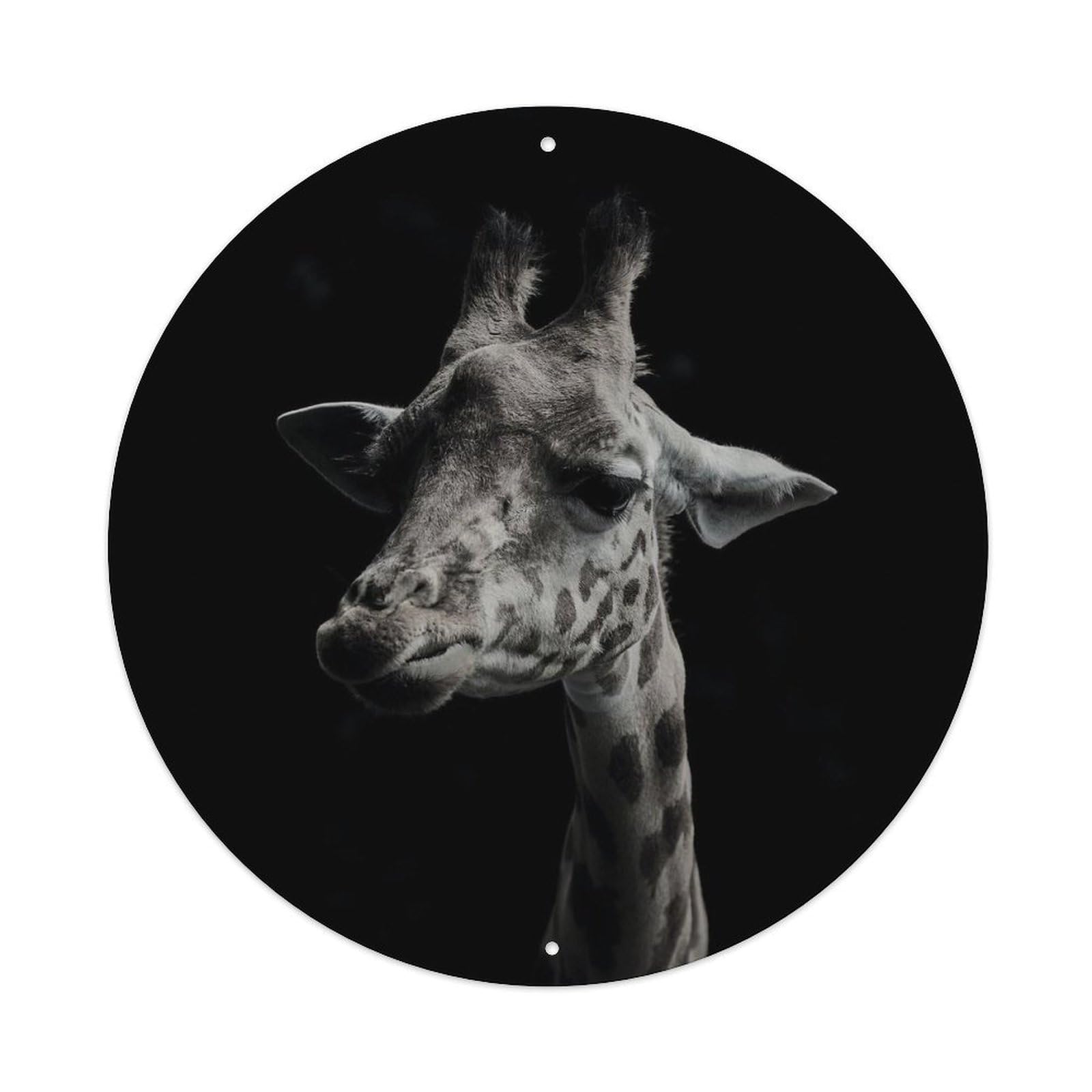 Giraffe Minimalist Wildlife Photography Poster Metal Tin Sign