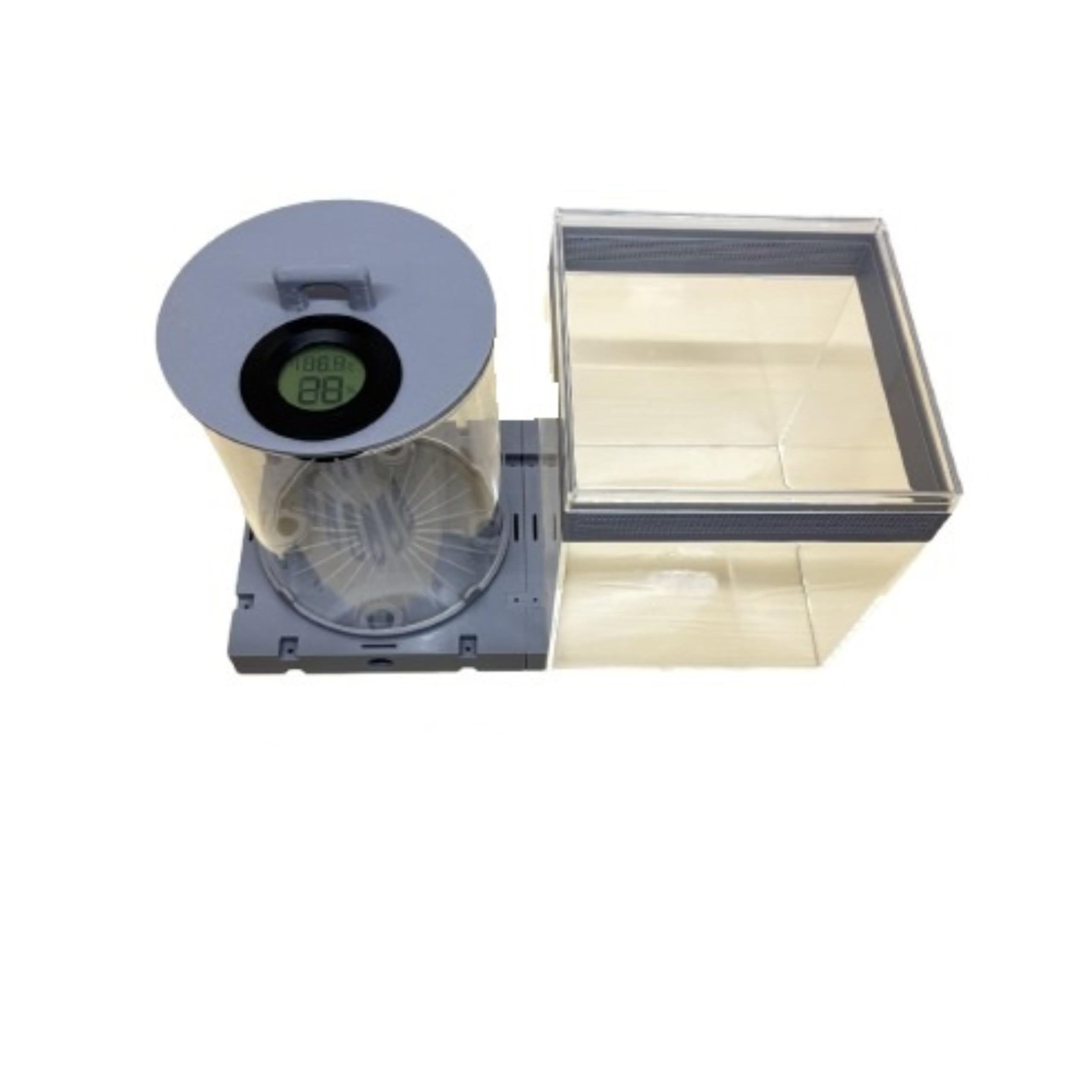 Nid de fourmis coupe-feuilles 3D avec système d'humidification par capillarité inversée