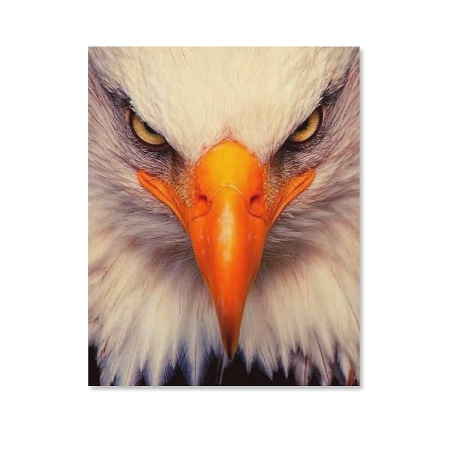 鷹の彫刻【額飾り、壁付け】