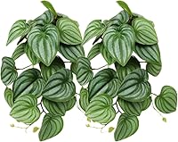 Vista 9 de Paquete de 2 plantas falsas de reptiles para terrario, accesorios de tanque de serpientes, decoración de hábitat, plantas colgantes artificiales