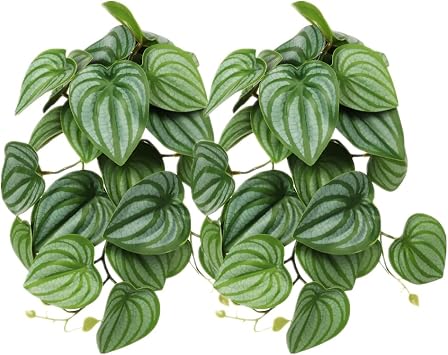 2Pack Reptile Fake Plants for Terrarium, Snake Tank Accessories, Habitat Decor Artificial Hanging Plants with Suction Cup - Fake Calathea Orbifolia