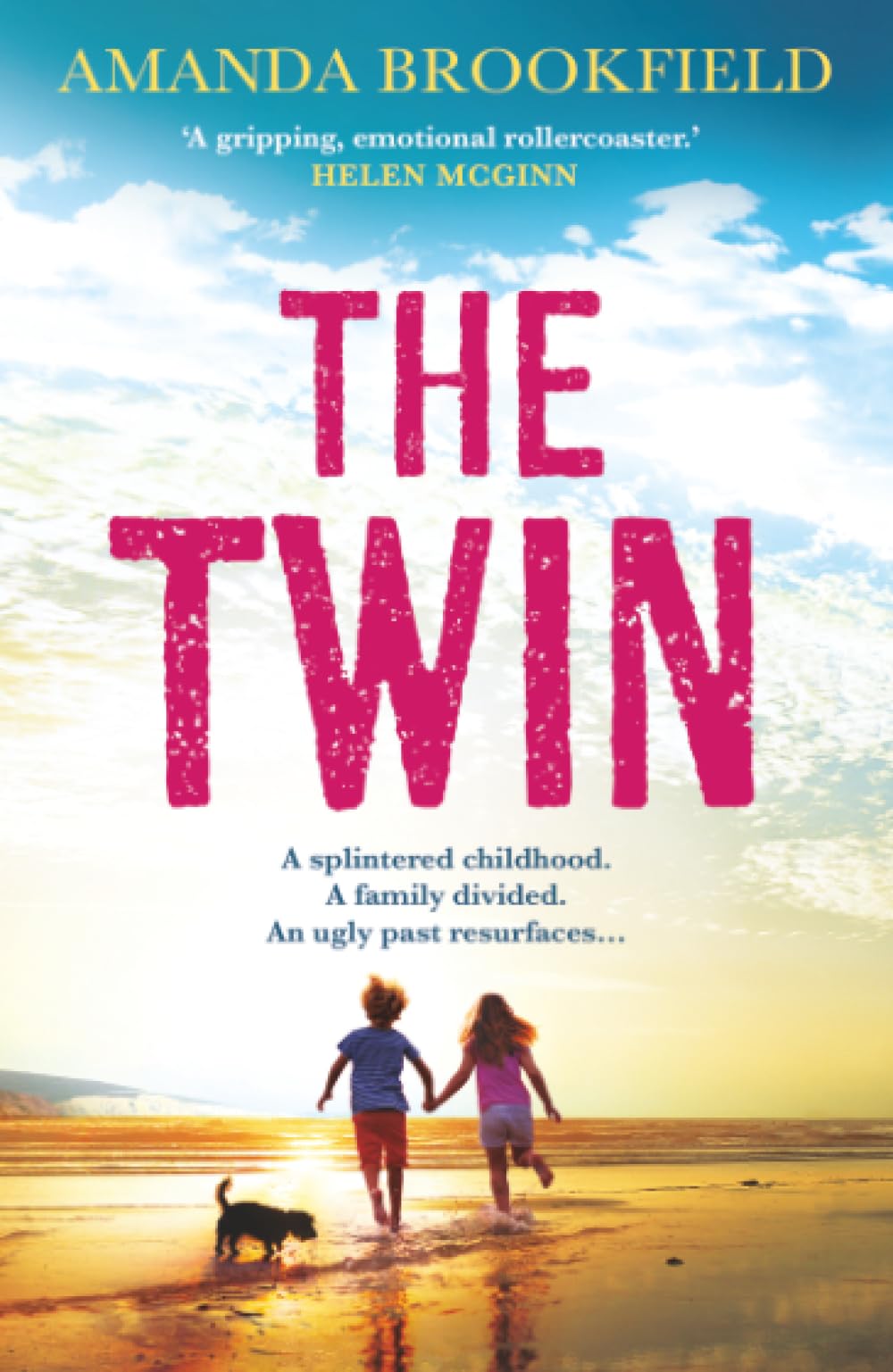 The Twin : The heart-wrenching, 'perceptive and poignant' family drama from Amanda Brookfield