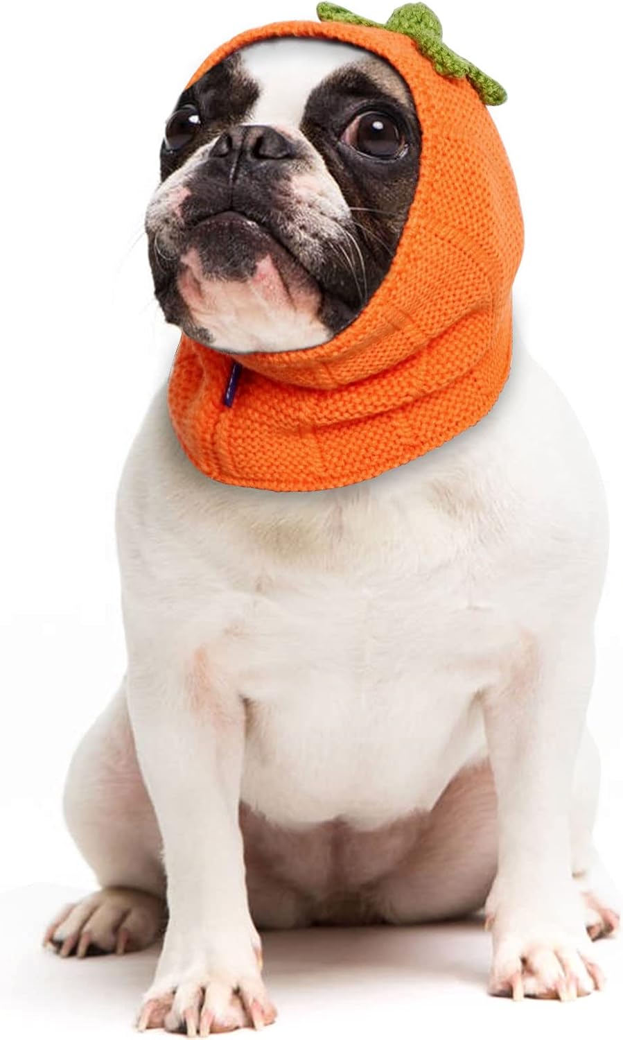 cyeollo Dog Pumpkin Costume Funny Dog Snood Knitted No Flap Ear Wrap Hood for Pets Small Dog Halloween Costumes