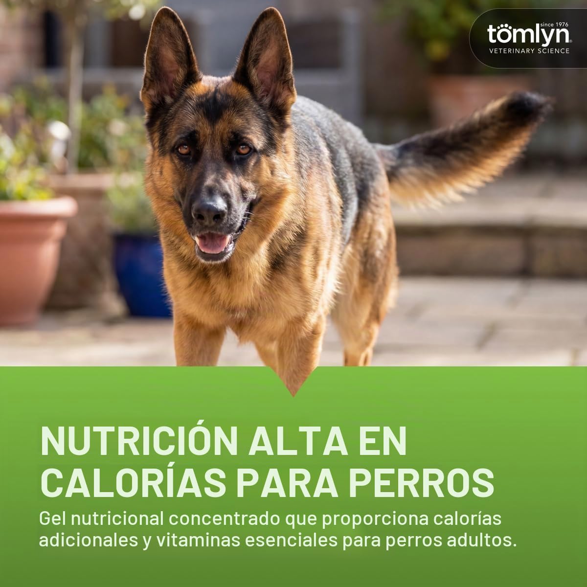 TOMLYN Gel nutricional de Alto Contenido calórico para Perros, (Nutri-Cal) 4 oz