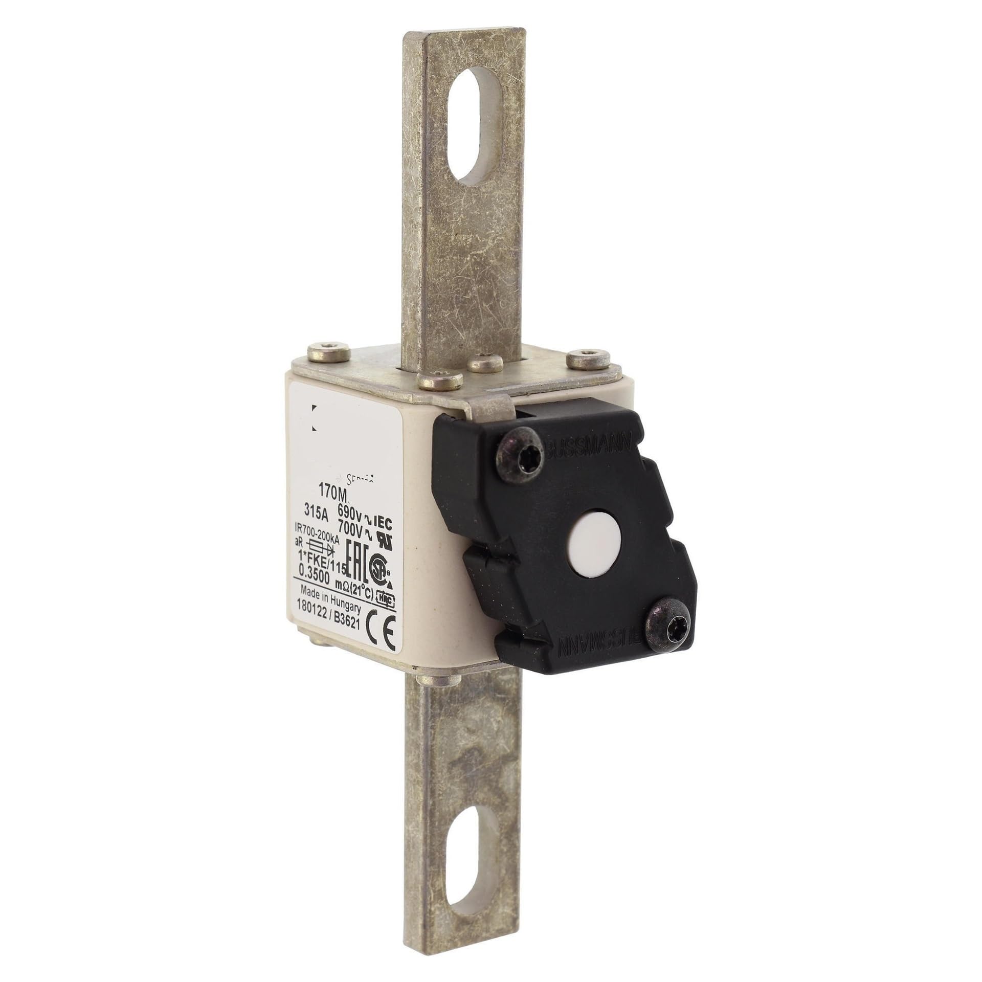 HYRBNSDLK 690V Fuse 170M3766