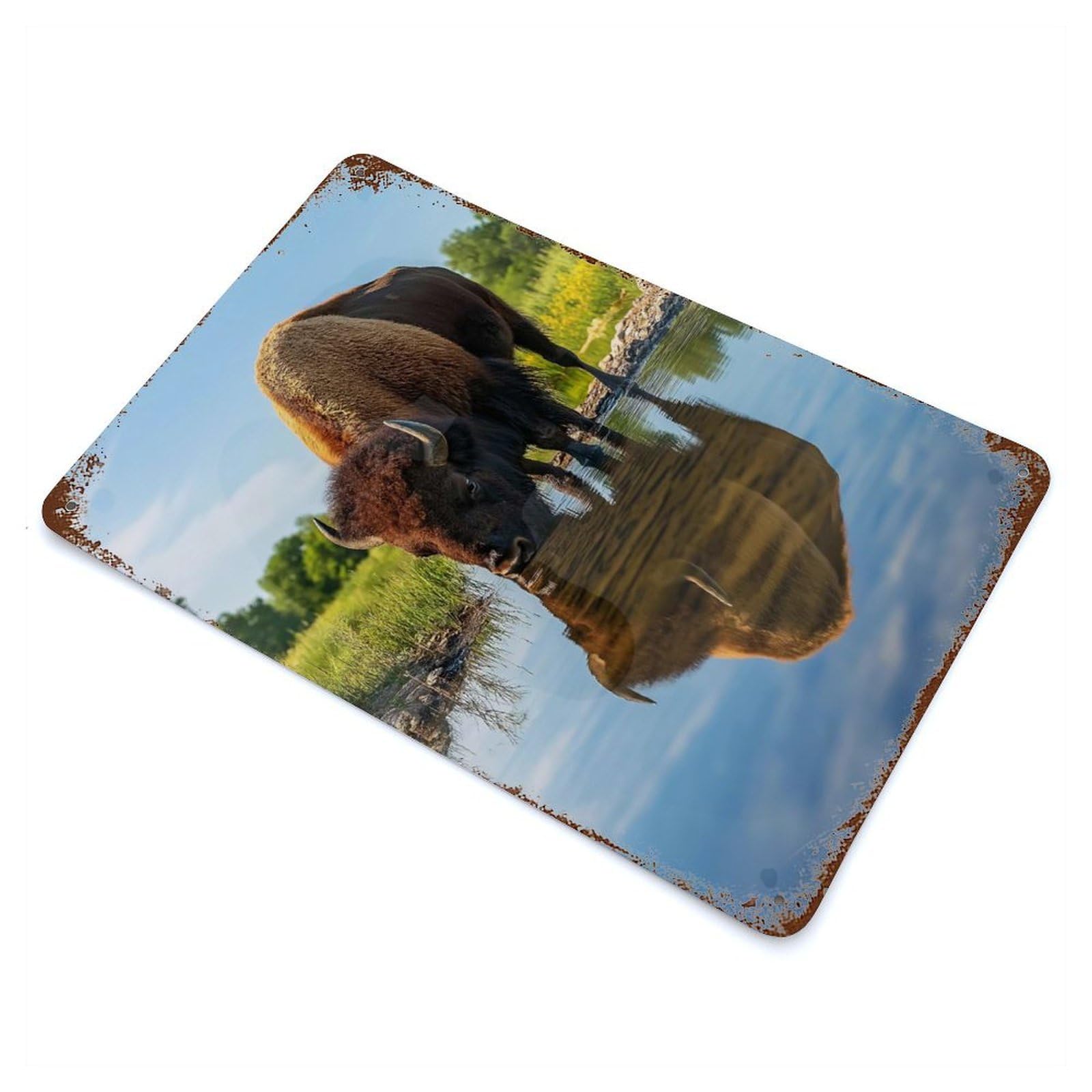 Bison Drinking from Pond Wildlife Photo Rusty Metal Tin Sign 11.8"x7.9", Old School Wall Decor for Garage, Pub Or Kitchen