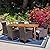 Christopher Knight Home Matthew Outdoor 7 Piece Multibrown Wicker Set with Teak Finish Rectangular Acacia Wood Dining Table and Beige Water Resistant Cushions