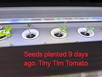 Review Image by Richard Gallant Richard Gallant