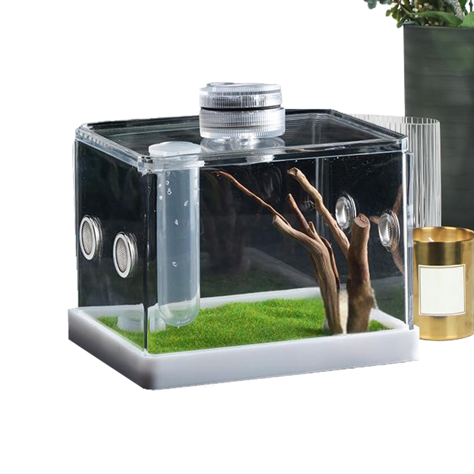 Genérico Recinto para Arañas Saltarinas - Mini Hábitat Acrílico con Luz LED Terrario De Alta Transparencia | Estuche De Observación De Insectos, Pequeña para Vivienda De Reptiles, Exhibición De — view 8