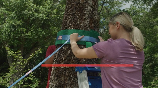 Amazon.com: Double Ninja Slackline Obstacle Course | 80 Ft | Ninja