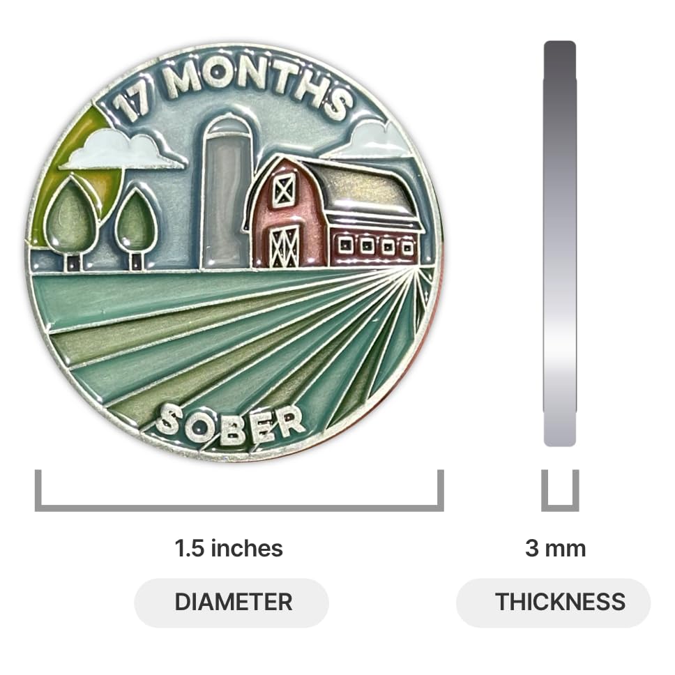 Image of The Achieve Mint 17 Months Sober Token | Seventeen Months Sober Chip | Non-AA Gift, Non-Religious Medallions for Men and Women Celebrating Sobriety