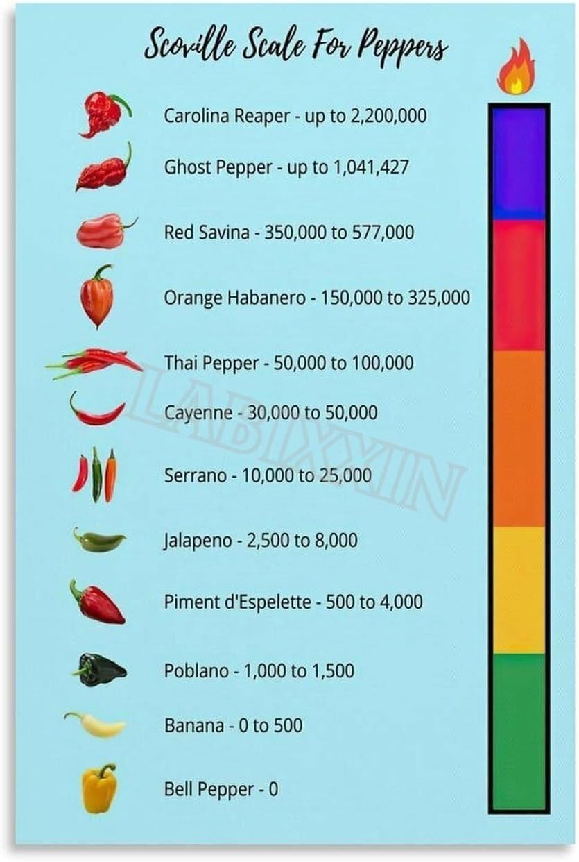 RNUMLIGH Chili Pepper Heat Chart Poster Scoville Units Guide Sauce Lover Gift Kitchen Wall-Art for Home Chef Decor(Unframed,16x24inch(40x60cm))