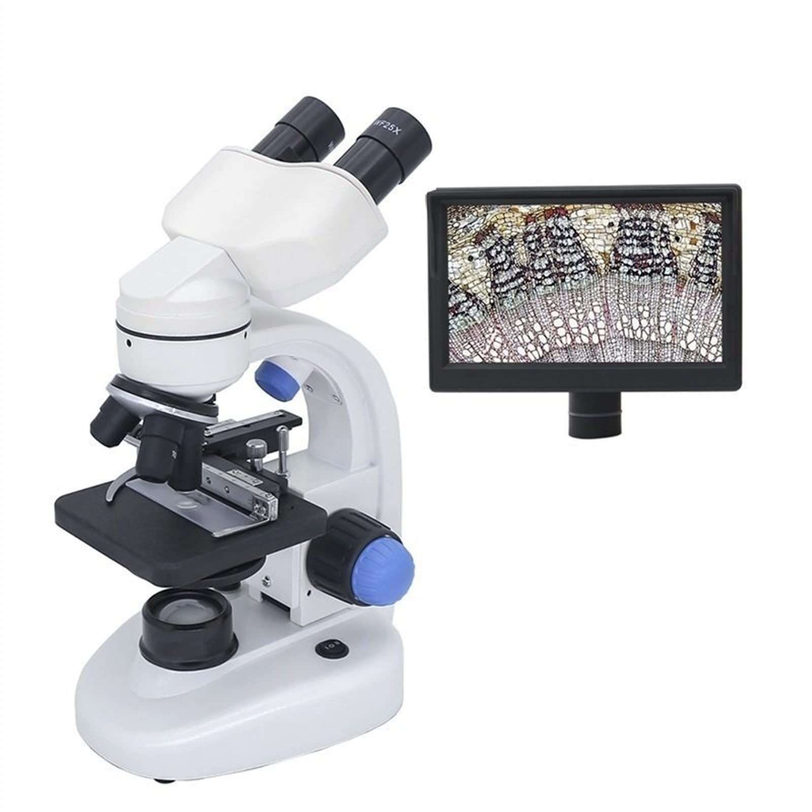 Microscope Biological Microscope 40-2000X Binocular Microscope with Top/Bottom LED Illumination