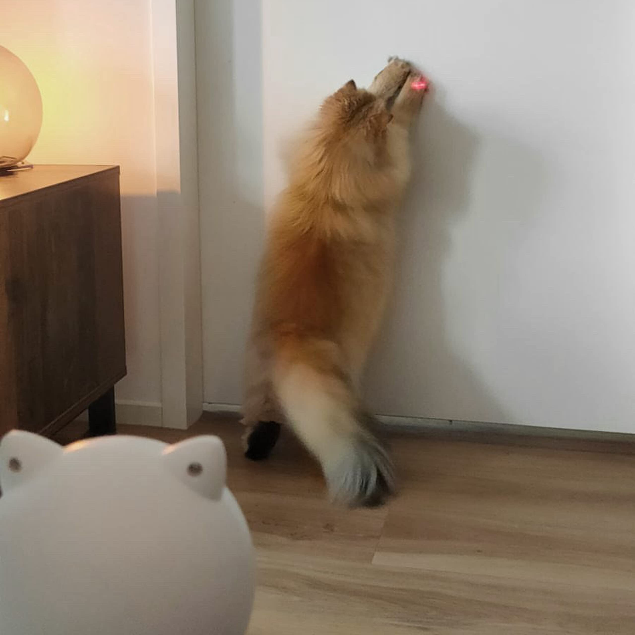 Laser Katzenspielzeug - Smart Laserpointer mit Autoplay und manuell über App - Katzenspielzeug Laserpunkt mit Voreinstellungen und steuerbar über Telefon - Einstellbarer Plan