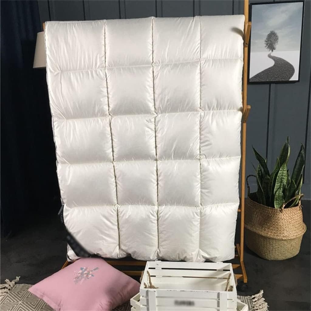 Goose Down Fiber Comforter Duvet Winter Quilt King Queen Twin Full Size(200x230cm 3kg)