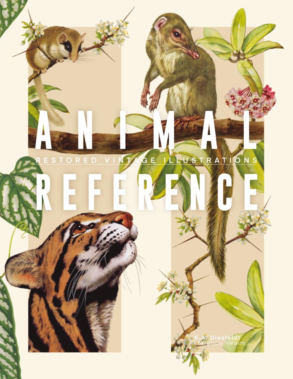 Animal Reference Book: Mammalian Species, Restored Vintage Illustrations for Artists and Designers (Reference Realm)