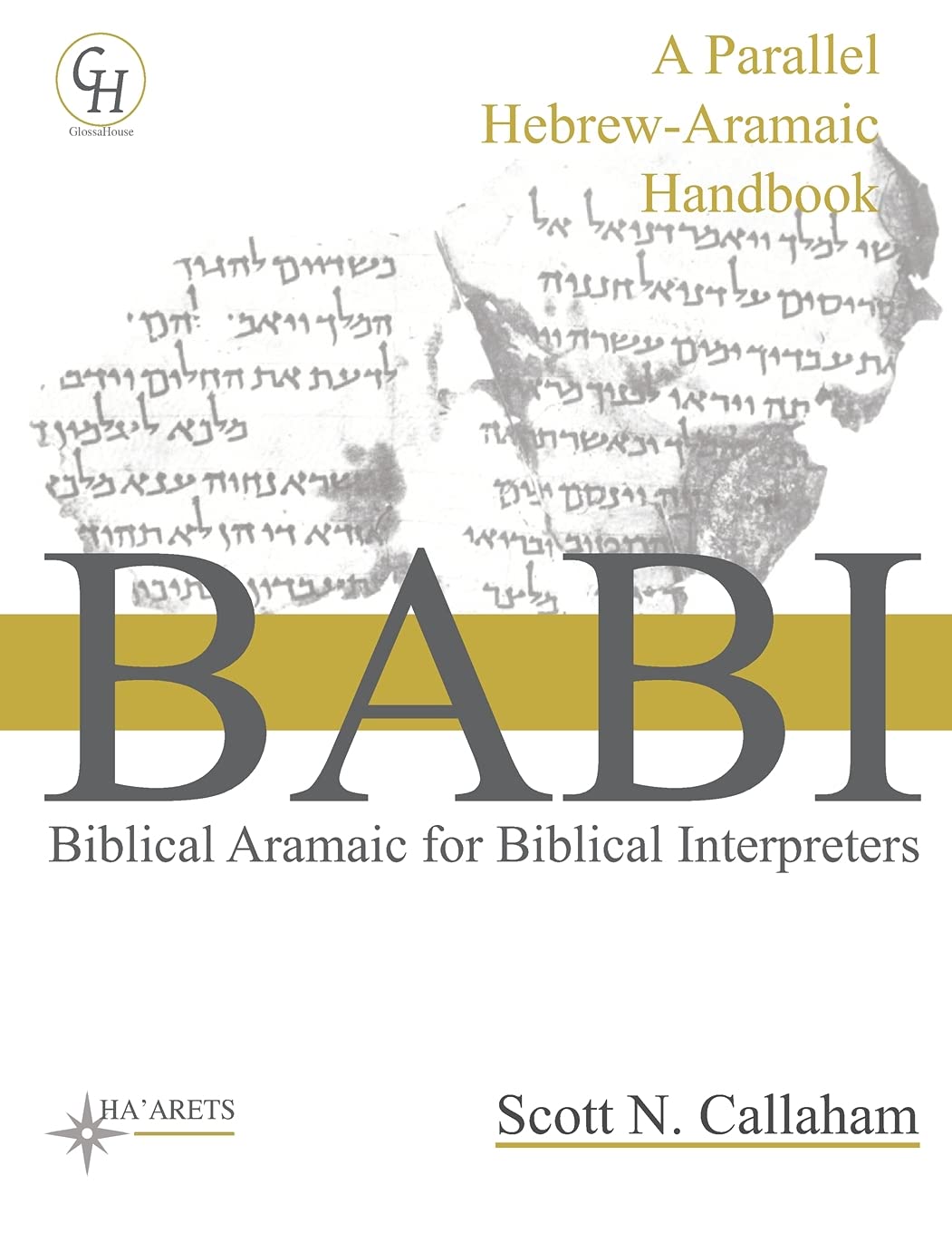 Biblical Aramaic for Biblical Interpreters: A Parallel Hebrew-Aramaic Handbook: 8 (HEBREW & ARAMAIC ACCESSIBLE RESOURCES FOR EXEGETICAL AND THEOLOGICAL STUDIES)