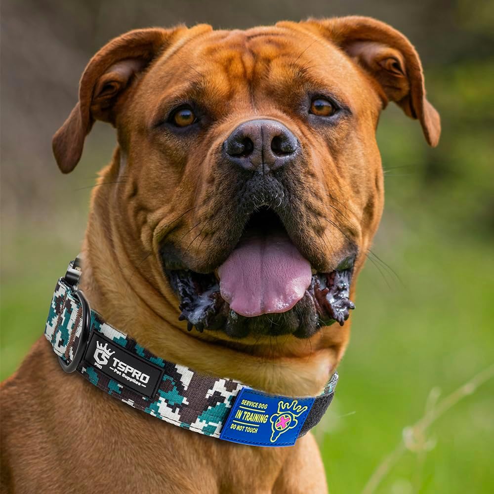 TSPRO Premium Dog Collars Tactical Dog Collar with Patch and Heavy Duty Quick-Release Metal Buckle Durable Thick and Adjustable for Medium to Large Dogs (Camo Cyan L)