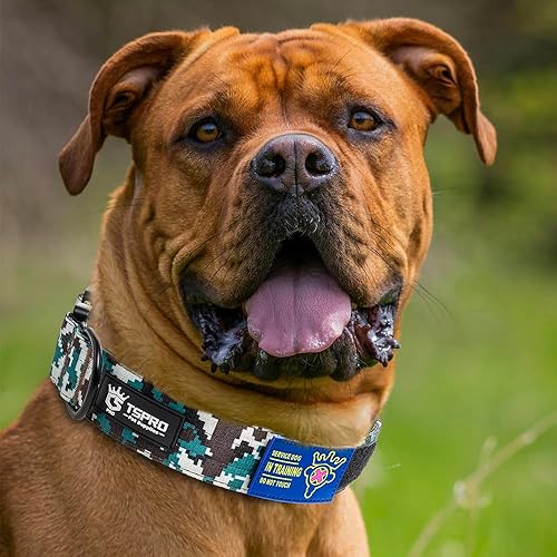 Miniatura 5 de TSPRO Collar táctico para perro de alta calidad, con parche y hebilla de metal de liberación rápida resistente, duradero, grueso y ajustable para