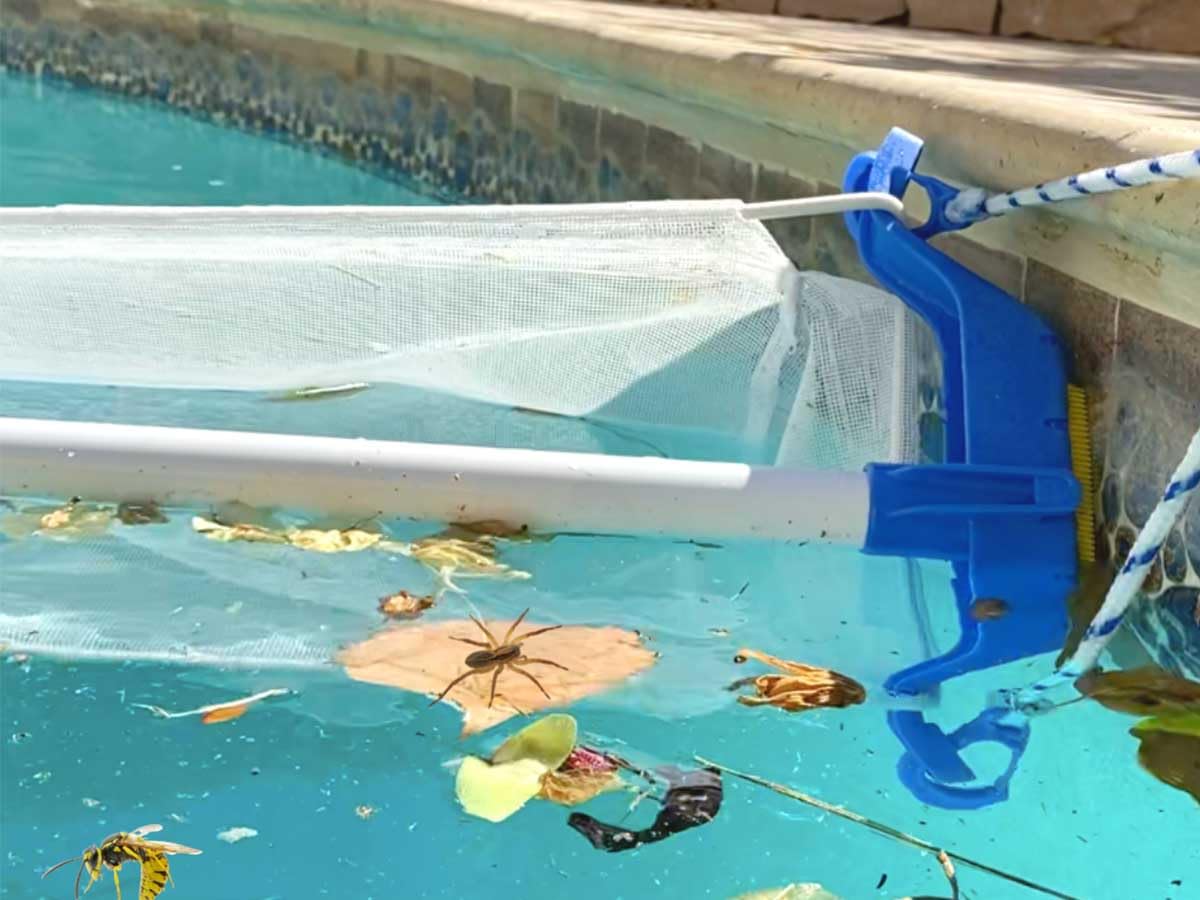 PLATYPOOL Epuisette de Surface XXL