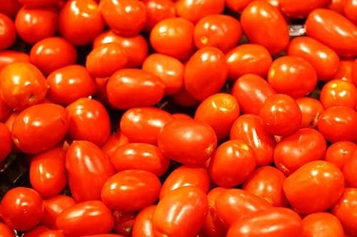 Miniatura 6 de Grappoli Corbarino Grape Tomate - Tomate de la antigua Italia!!!(10 - Semillas)