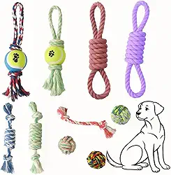 Brinquedo Pet Combo 5 Peças, Resistente, Antiestresse, Alivia Ansiedade de Cachorros, Cores Sortidas Mordedor Corda Interativo,