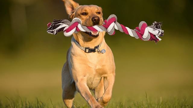 Foto 5 de 5 de BPS Nudo Algodón Juguete Cuerda para Perros Tamaño Grande de Algodón para Salud Mental Dental del Perro…