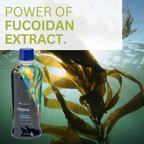Miniatura 6 de Youngevity ZRadical Fucoidan - Extracto orgánico de Fucoidan Maritech y Cofactores (Vitamina C, B12, B6, Dragonfruit, Wolfberry, Cardo de leche)