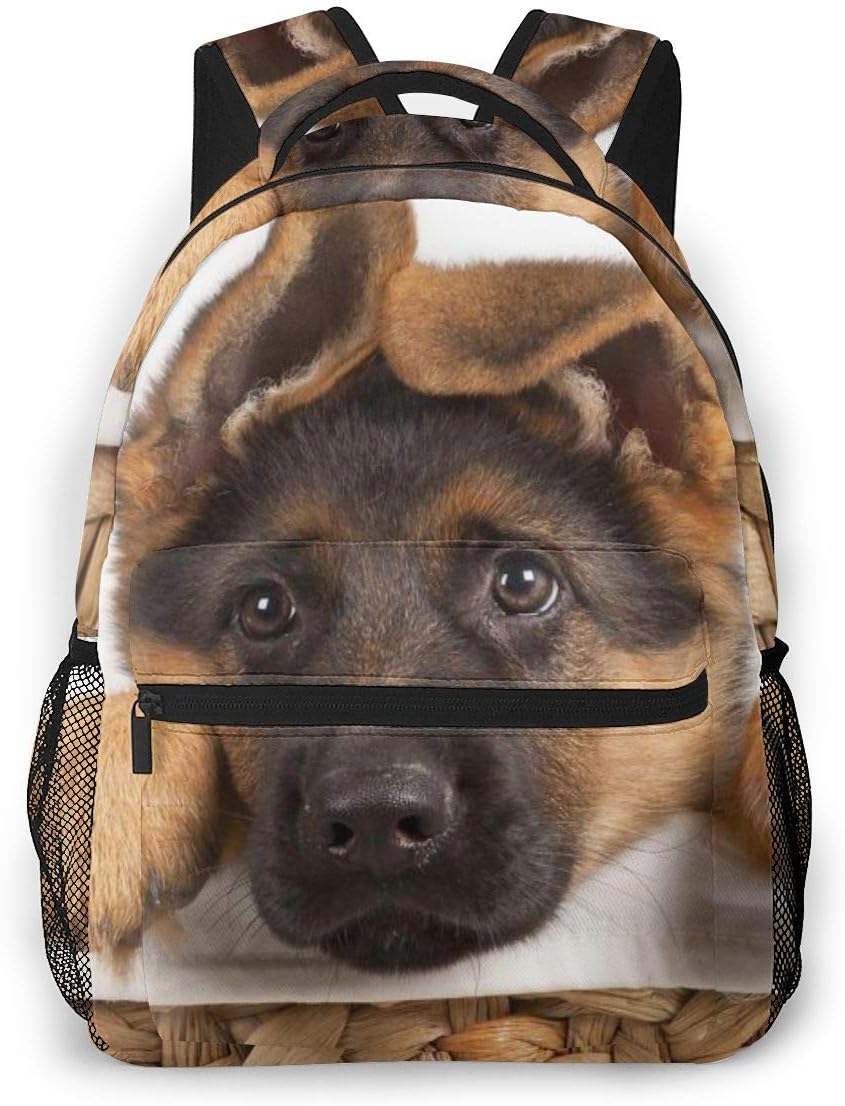 High School Outdoors Bicycle Backpack Daypack Durable Polyester Multipurpose Anti-Theft Daypack Large Capacity Shoulder Bag