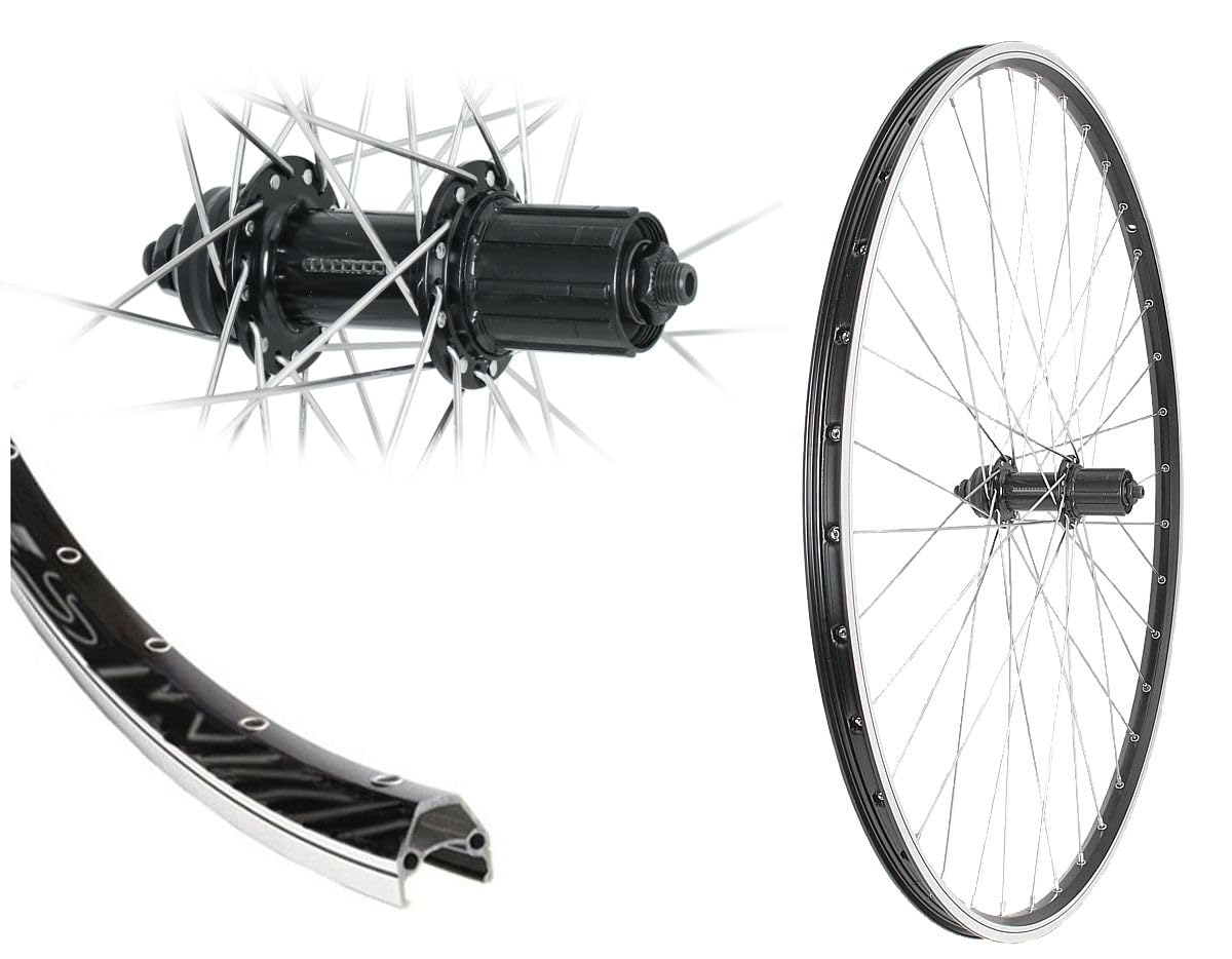 Bärwinkels 26 Zoll Hinterrad Hohlkammer Shimano QC400 Industrielager Schnellspanner 8,9,10-Fach V-Brake 559-19 Laufrad Disk