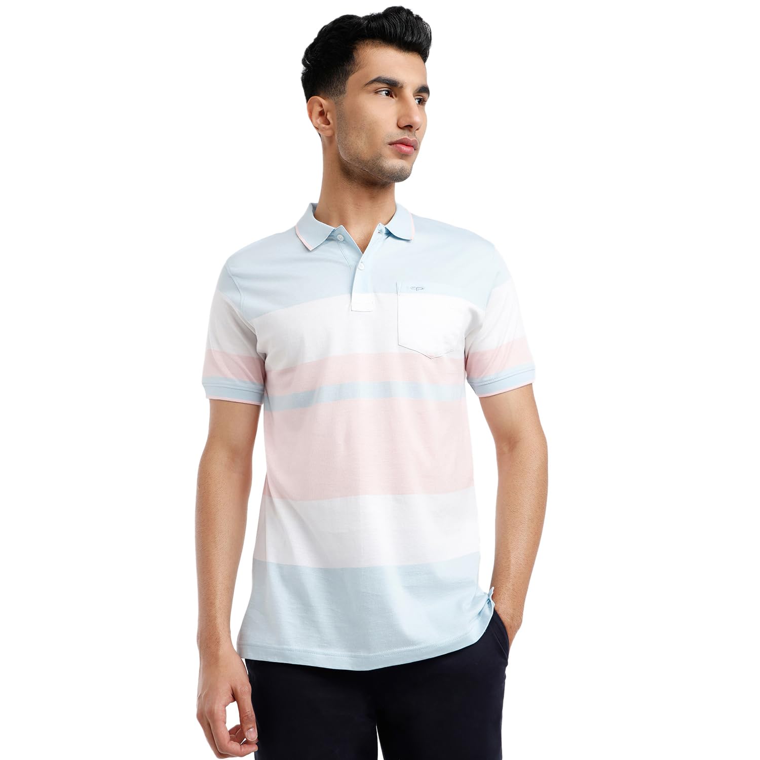 colorplus Men Regular Fit Stripe Pattern Pure Cotton Half Sleeve Polo Neck Casual T-Shirt-picture-24