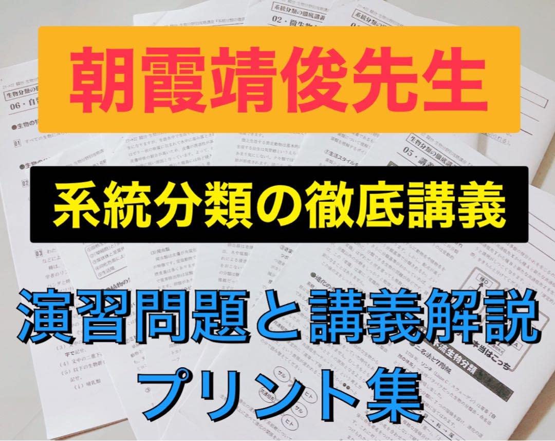 河合塾 テキスト 英文法・語法完全攻略テスト 成川博康先生　鉄緑会 駿台 河合塾 テキスト 英文法・語法完全攻略テスト 成川博康先生 鉄緑会