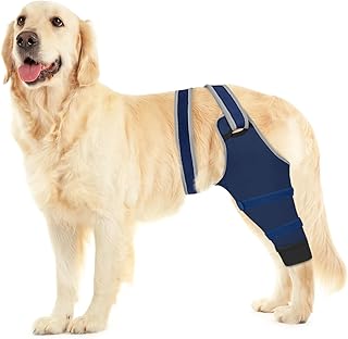 Dog Rear Leg Sleeve to Prevent Licking