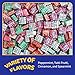 Canel's 4-Piece Gum Pack Jar in Original Flavors - Peppermint, Spearmint, Cinnamon, Fruit, Blueberry, Violet, and Menthol, 300 Count
