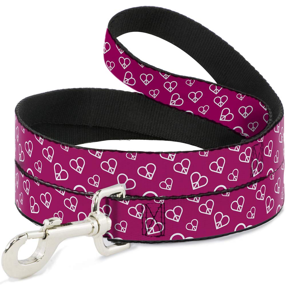 Laisse pour chien fuchsia Buckle-Down pour balade au parc
