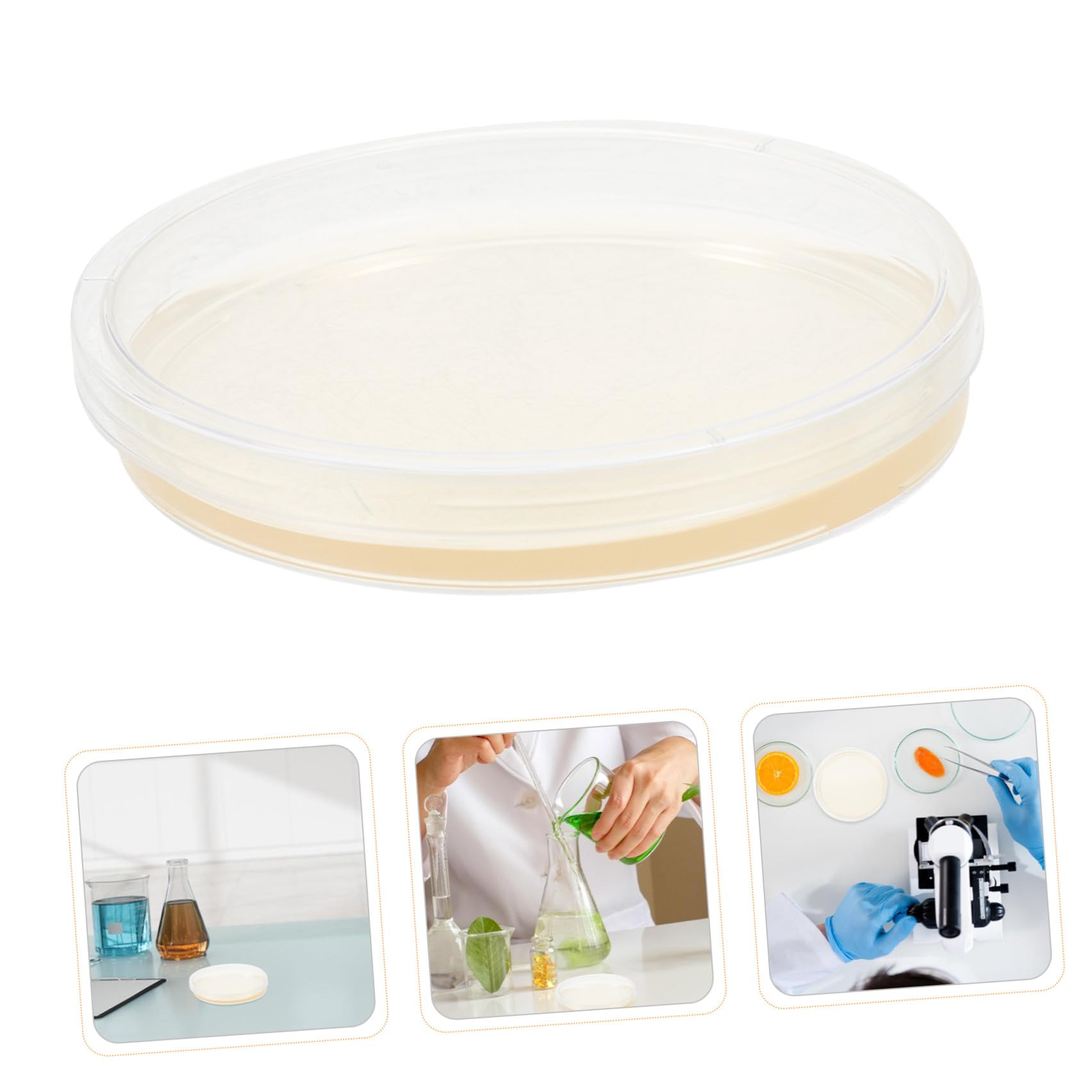 GANAZONO Placas de Petri Agar Nutritivo Pre-Vertido, 20 Piezas de Plástico Estéril de 9 CM para Experimentos Científicos y Almacenamiento de Muestras