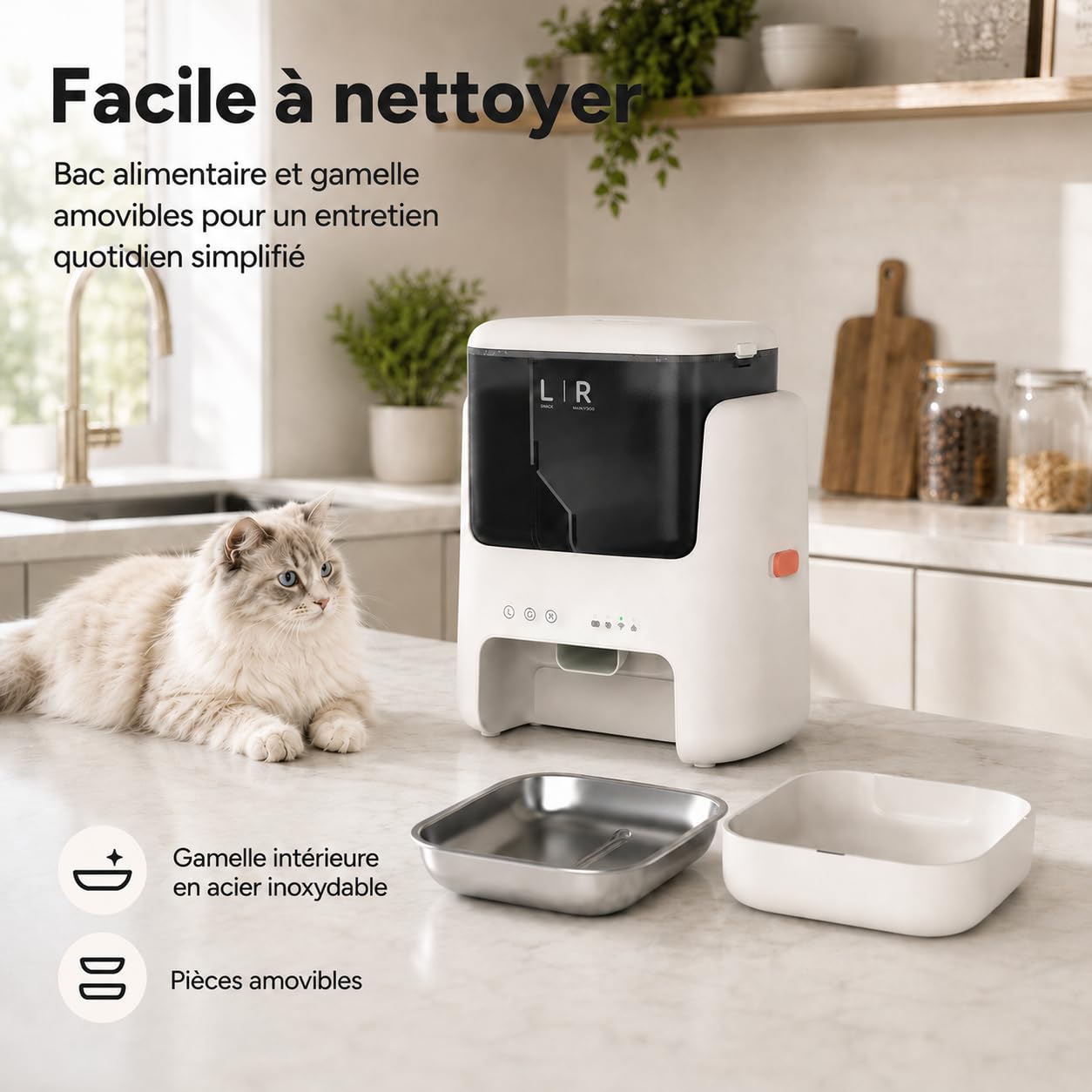 Distributeur Intelligent Chat pour croquettes et friandises sèches