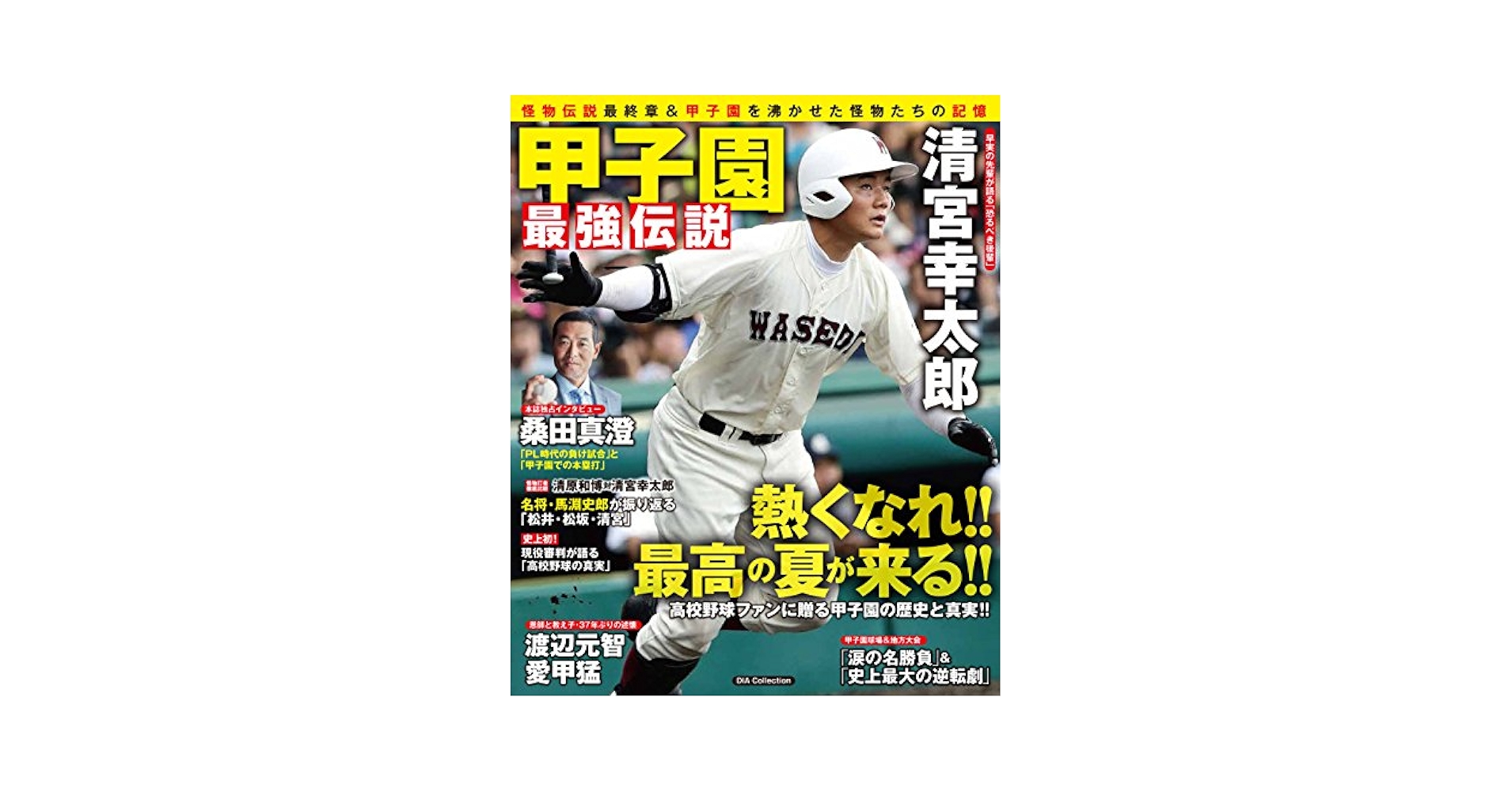 DVD 熱闘甲子園 15本 みんなの甲子園 5本  夏の甲子園 選抜高校野球 DVD 熱闘甲子園 15本 みんなの甲子園 5本 夏の甲子園 選抜高校