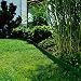 Gardena 536-20 - Cercadillo para Césped, Verde, 9 cm x 9 m...
